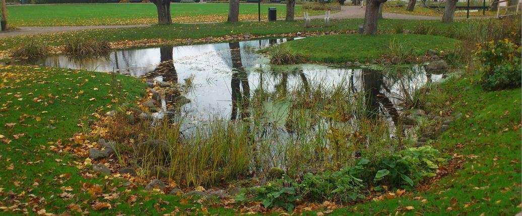 Höst i trädgårdsföreningen
